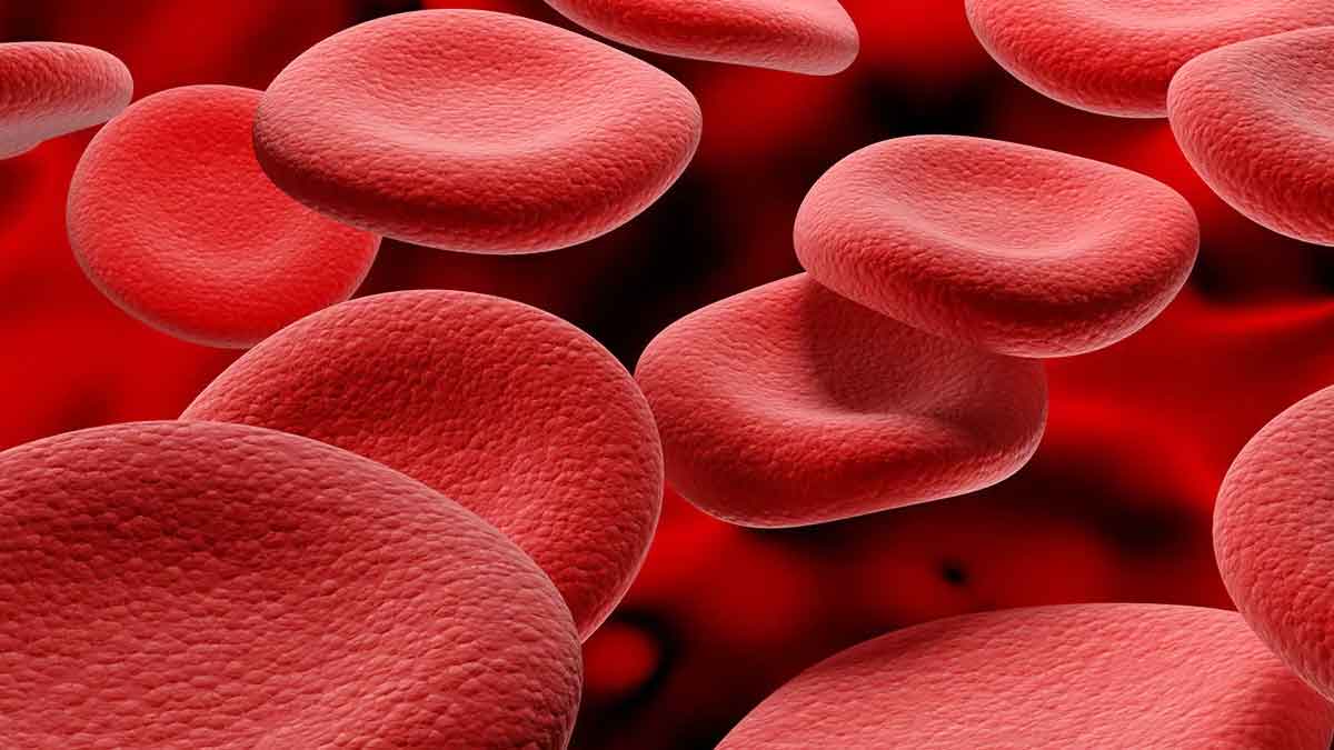 Blood : శరీరంలో రక్తం తక్కువగా ఉందా.. రక్తం అమాంతంగా పెరగాలంటే.. వీటిని తీసుకోవాలి.. take these foods if you have not enough Blood