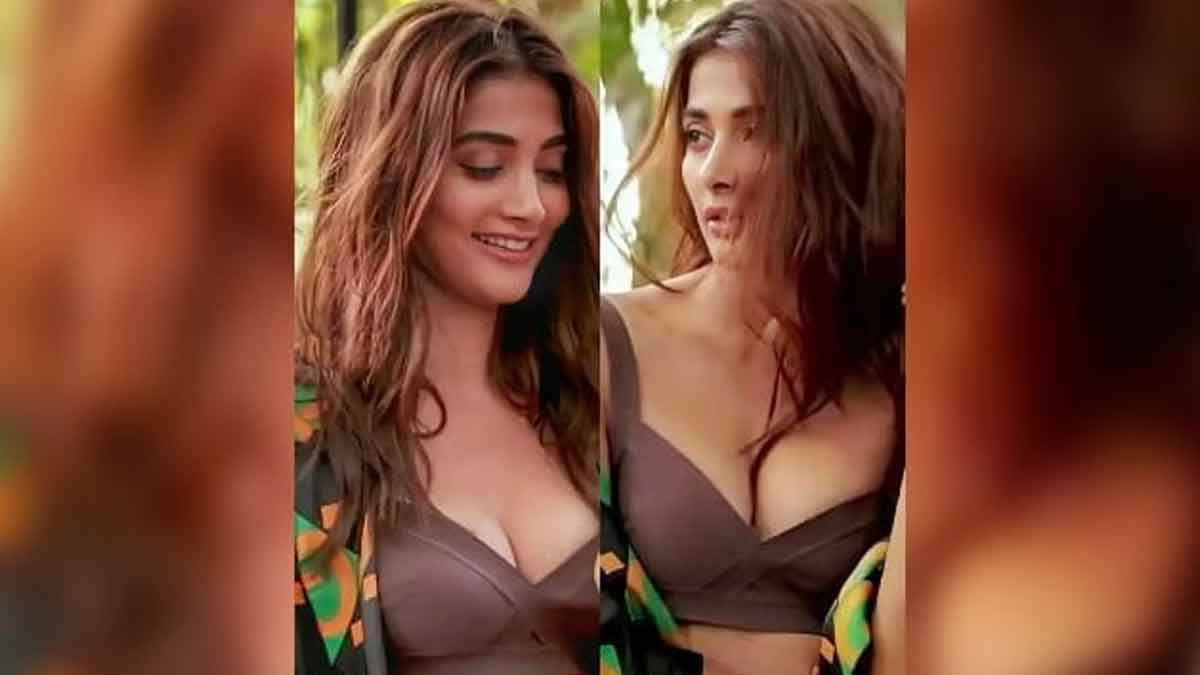 Pooja Hegde : విజువల్ ఫీస్ట్.. పూజా హెగ్డే అందాలకు మతులు పోతున్నాయంటున్న కుర్రకారు.. Pooja Hegde latest brown color dress photos viral