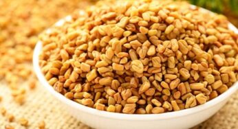 Fenugreek Seeds : మెంతులను దీనితో కలిపి తినండి.. డయాబెటిస్‌ పోతుంది..