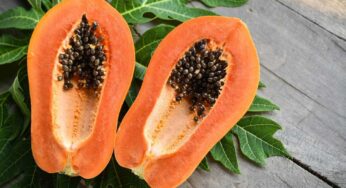 Papaya : బొప్పాయి పండ్ల‌లో దాగి ఉన్న ర‌హ‌స్యాలు ఇవే.. చదివితే న‌మ్మ‌లేరు..!