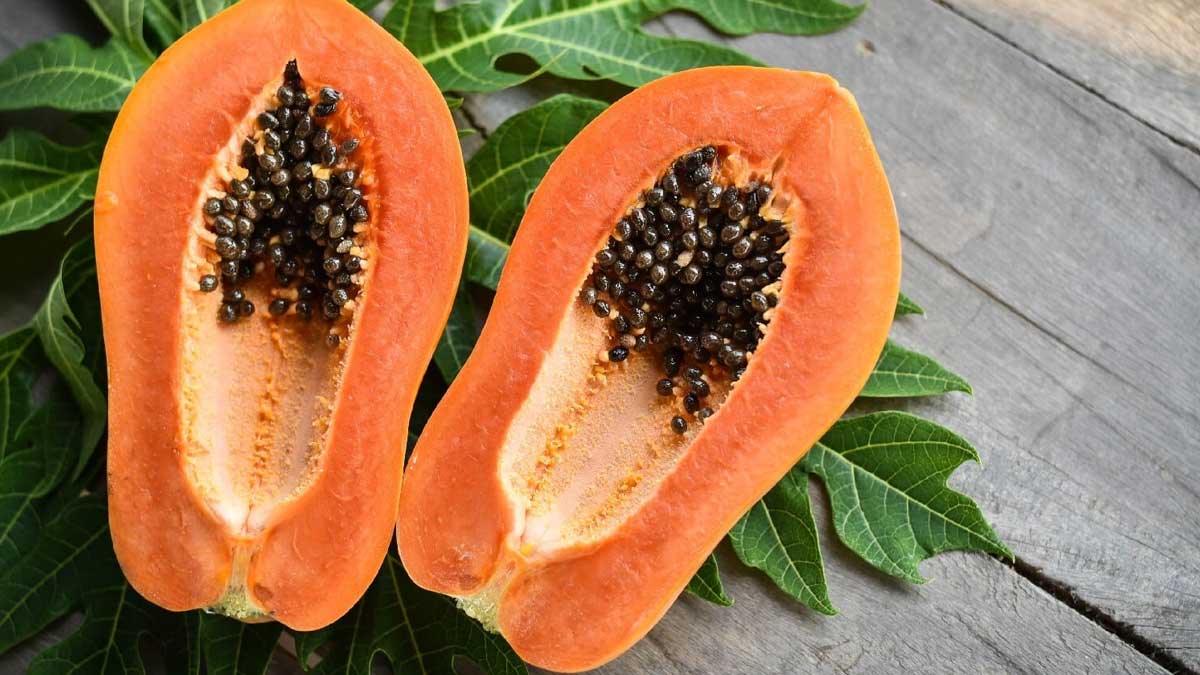 Papaya : బొప్పాయి పండ్లలో దాగి ఉన్న రహస్యాలు ఇవే.. చదివితే నమ్మలేరు..! take Papaya everyday for these amazing benefits