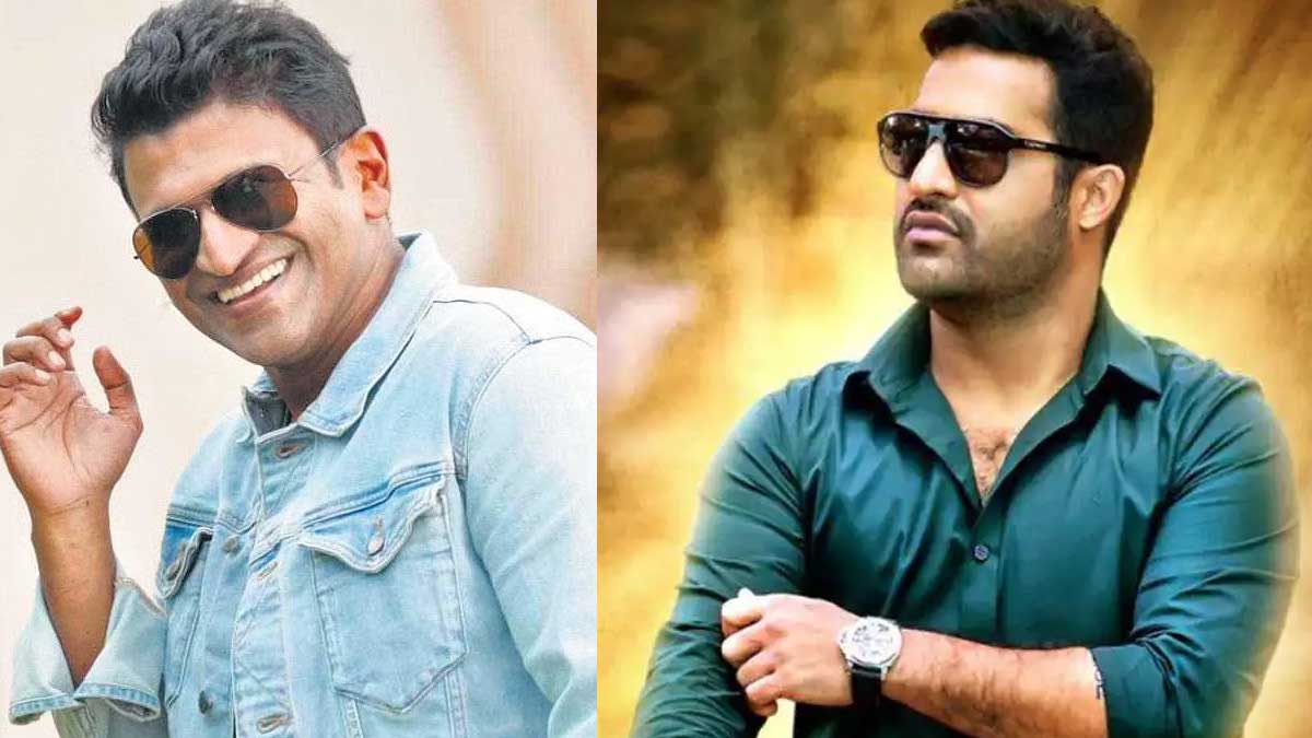 Puneeth Rajkumar got blockbuster hit movie with NTR flop one 