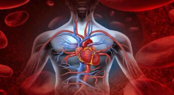 Blood Circulation : వీటిని తింటే ర‌క్తం పెర‌గ‌డ‌మే కాదు.. ర‌క్త స‌ర‌ఫ‌రా కూడా మెరుగు ప‌డుతుంది..