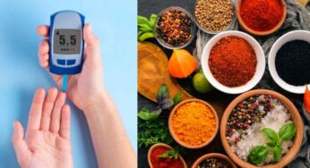 Diabetes : ఈ ఆయుర్వేద చిట్కాల‌ను పాటిస్తే.. షుగ‌ర్ లెవ‌ల్స్ దెబ్బ‌కు దిగి వ‌స్తాయి..