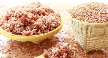 Brown Rice : తెల్ల అన్నంకు బ‌దులుగా బ్రౌన్ రైస్‌ను తింటే ఎన్ని లాభాలు క‌లుగుతాయో తెలిస్తే.. ఇప్పుడే తింటారు..