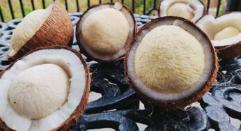 Coconut Flower : కొబ్బ‌రి పువ్వు క‌నిపిస్తే విడిచిపెట్ట‌కుండా తినండి.. దీంతో క‌లిగే లాభాలు తెలిస్తే.. వెంట‌నే తింటారు..