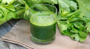 Coriander Leaves Juice : కొత్తిమీర జ్యూస్‌ను రోజూ ప‌ర‌గ‌డుపునే తాగితే.. ఇన్ని లాభాలు క‌లుగుతాయా..?