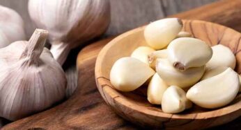 Garlic : రోజూ ప‌ర‌గ‌డుపునే రెండు వెల్లుల్లి రెబ్బ‌ల‌ను తింటే.. ఇన్ని ప్ర‌యోజ‌నాలా..?