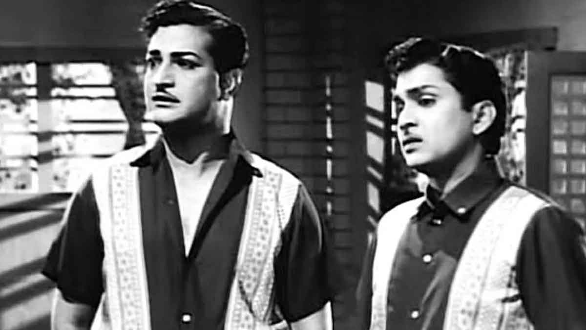 do you know these comparisons between Sr NTR And ANR 
