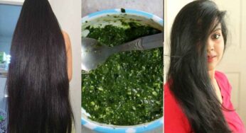 Hair Growth Remedies : దీన్ని రాస్తే చాలు.. జుట్టుకు ఎంత బ‌లం అంటే.. ఊడిన వెంట్రుక‌లు సైతం మ‌ళ్లీ వ‌స్తాయి..!