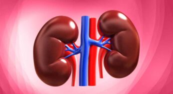 Kidneys : ఈ ల‌క్ష‌ణాలు క‌నిపిస్తున్నాయా.. అయితే మీ కిడ్నీలు డేంజ‌ర్‌లో ఉన్న‌ట్లే..!