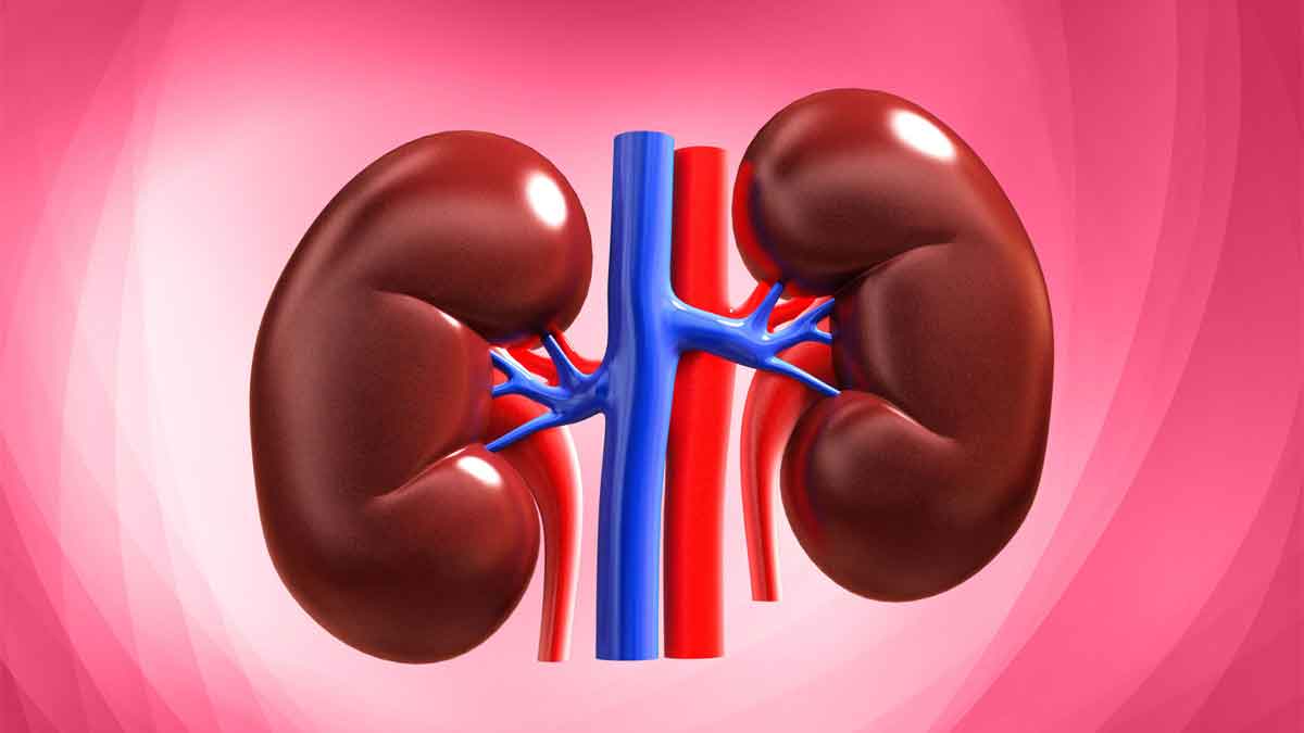 if you have these signs and symptoms then your Kidneys are in danger