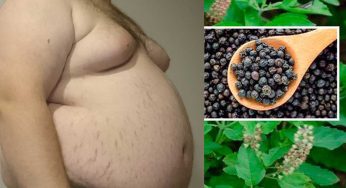 Remedy For Fat : రోజూ ఉద‌యం దీన్ని తాగండి.. శ‌రీరంలో కొవ్వు అన్న‌దే ఉండ‌దు..!