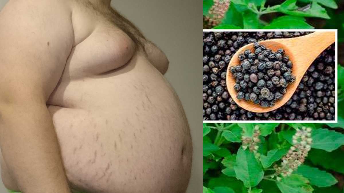 Remedy For Fat follow this one for impressive results 