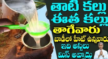 Kallu : తాటి కల్లు, ఈత కల్లు తాగేవారు.. బాడీలో హీట్‌ ఉన్నవారు ఇది అస్సలు మిస్‌ అవ్వొద్దు..!