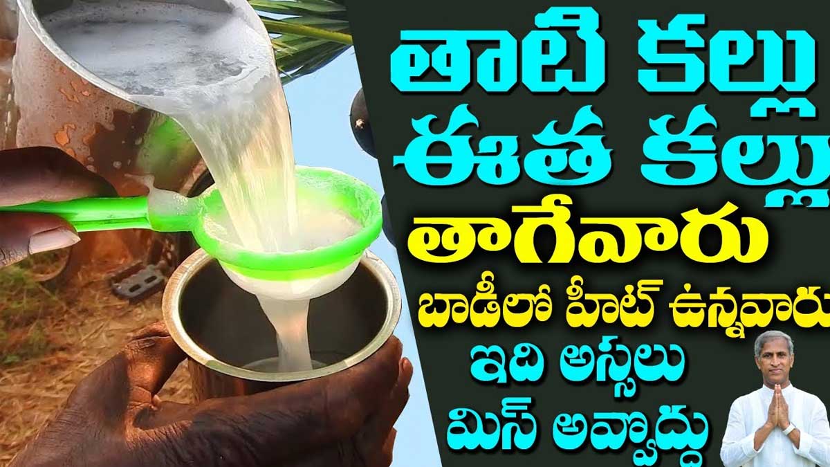 drinking Kallu in summer must know these 