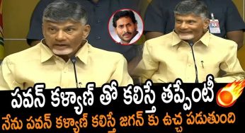 Chandra Babu Naidu : ప‌వ‌న్ క‌ళ్యాణ్ తో క‌లిస్తే త‌ప్పేంటి.. ఎవ‌రికి బాధ అంటూ.. చంద్ర‌బాబు కామెంట్స్..