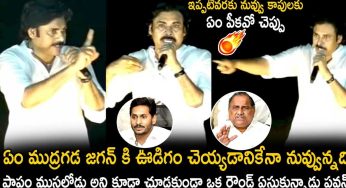 Pawan Kalyan : ముద్ర‌గ‌డ వ్యాఖ్య‌ల‌పై ప‌వ‌న్ తీవ్ర ఆగ్ర‌హం.. ఇన్నాళ్లూ ఏం చేశార‌ని కామెంట్స్‌..