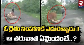 Viral Video : రైతు తెగువ‌.. వ‌ట్టి చేత్తో సింహానికే ఎదురు వెళ్లాడు..!