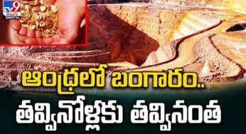 Gold : ఆంధ్రాలో ల‌క్ష‌ల ట‌న్నుల‌లో బంగారు ఖ‌నిజం.. త‌వ్వుకున్నోళ్ల‌కు త‌వ్వుకున్నంత‌..!