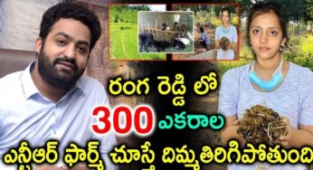 Jr NTR Farm House : 300 ఎక‌రాల‌లో ఎన్టీఆర్ ఫామ్ హౌజ్.. చూస్తే దిమ్మ తిరిగి మైండ్ బ్లాక్ కావ‌ల్సిందే..!