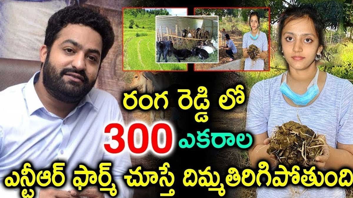 Jr NTR Farm House have you seen it 