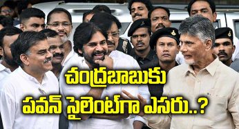 Pawan Kalyan : టీడీపీకి సైలెంట్‌గా ఎర్త్ పెడుతున్న ప‌వ‌న్ క‌ళ్యాణ్‌.. ఆయన స్కెచ్ ఏంటంటే…!