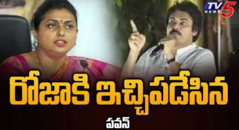 Pawan Kalyan : రోజాకి గ‌ట్టిగా ఇచ్చి ప‌డేసిన ప‌వ‌న్ క‌ళ్యాణ్‌.. నేను ప‌దవిలోకి వ‌స్తే మాములుగా ఉండ‌దు..!