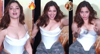 Tamannaah : డ్యాన్స్‌తో ర‌చ్చ లేపిన త‌మ‌న్నా.. కేక పెట్టించిందిగా..!