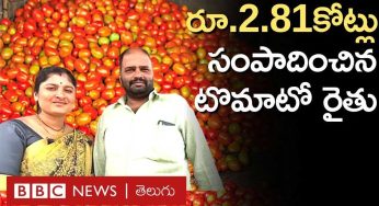 Tomato Farmer : రైతుని కోటీశ్వ‌రున్ని చేసిన ట‌మోటా.. నెల‌లో కోటిన్న‌ర ఆదాయం..