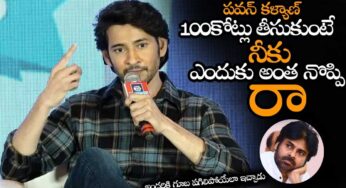 Mahesh Babu : ప‌వ‌న్ క‌ళ్యాణ్ వంద కోట్లు తీసుకుంటే నీకెందుకు నొప్పి.. మ‌హేష్ పంచ్..