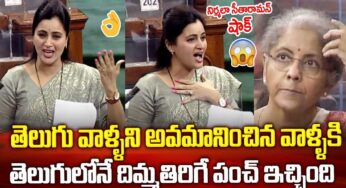 MP Navneet Kaur : తెలుగు వాళ్ల గొప్పతనం ఇది అంటూ లోక్ స‌భ‌లో న‌వ‌నీత్ కౌర్ స్టన్నింగ్ కామెంట్స్