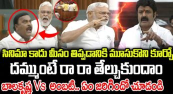 Ambati Rambabu : అసెంబ్లీలో మీసం తిప్పిన బాల‌కృష్ణ‌.. స్ట్రాంగ్ కౌంట‌ర్ ఇచ్చిన అంబ‌టి..