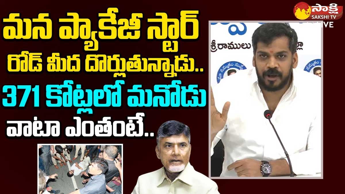 Anil Kumar Yadav strong counter to pawan kalyan