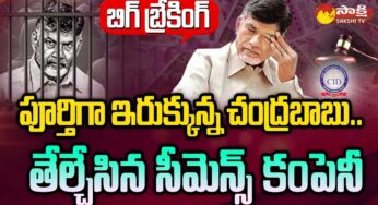 Chandra Babu : చంద్ర‌బాబు నిండా మునిగిన‌ట్టేనా.. అస‌లు విష‌యం బ‌య‌ట‌పెట్టిన సిమెన్స్..