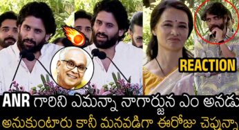 Nagachaitanya : ఒక్క‌సారిగా సీరియ‌స్ అయిన నాగ‌చైత‌న్య‌.. ఏం జ‌రిగింది..?