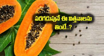 Papaya Seeds : పరగడుపున బొప్పాయి విత్తనాలను తింటే..?