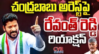 Revanth Reddy : చంద్ర‌బాబు అరెస్ట్‌పై తొలిసారిగా స్పందించిన రేవంత్ రెడ్డి.. ఏమ‌న్నారంటే..!