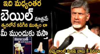 Chandra Babu : బెయిల్‌పై విడుద‌లైన అనంత‌రం చంద్ర‌బాబు ఏమ‌న్నారంటే..?