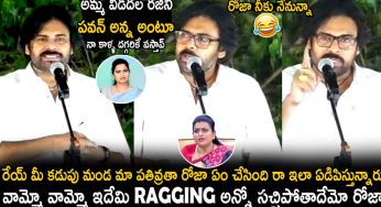 Pawan Kalyan : రోజా, విడ‌ద‌ల ర‌జ‌నీకి త‌న‌దైన శైలిలో గ‌ట్టిగా ఇచ్చి ప‌డేసిన ప‌వ‌న్ క‌ళ్యాణ్‌