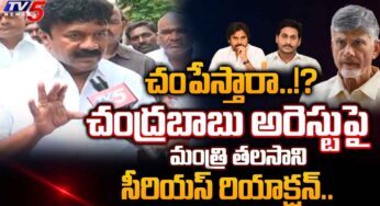 Talasani Srinivas Yadav : చంద్ర‌బాబు అక్ర‌మ అరెస్ట్ చాలా బాధించింది.. వైసీపీ ప్ర‌భుత్వ తీరుని త‌ప్పుప‌ట్టిన త‌ల‌సాని..