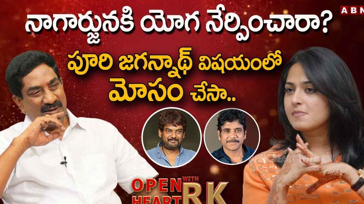 Anushka Shetty sensational comments on puri jagannadh 