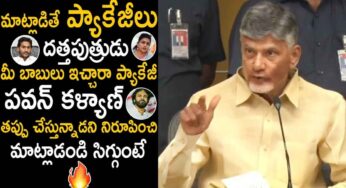 Chandra Babu : ప్యాకేజ్ మీ బాబులు ఇచ్చారా.. వైసీపీపై విరుచుకుప‌డ్డ చంద్ర‌బాబు..