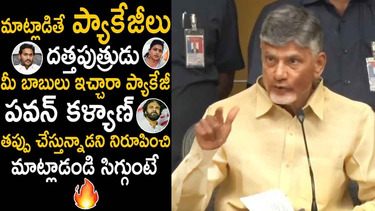 Chandra Babu comments on pawan kalyan package 