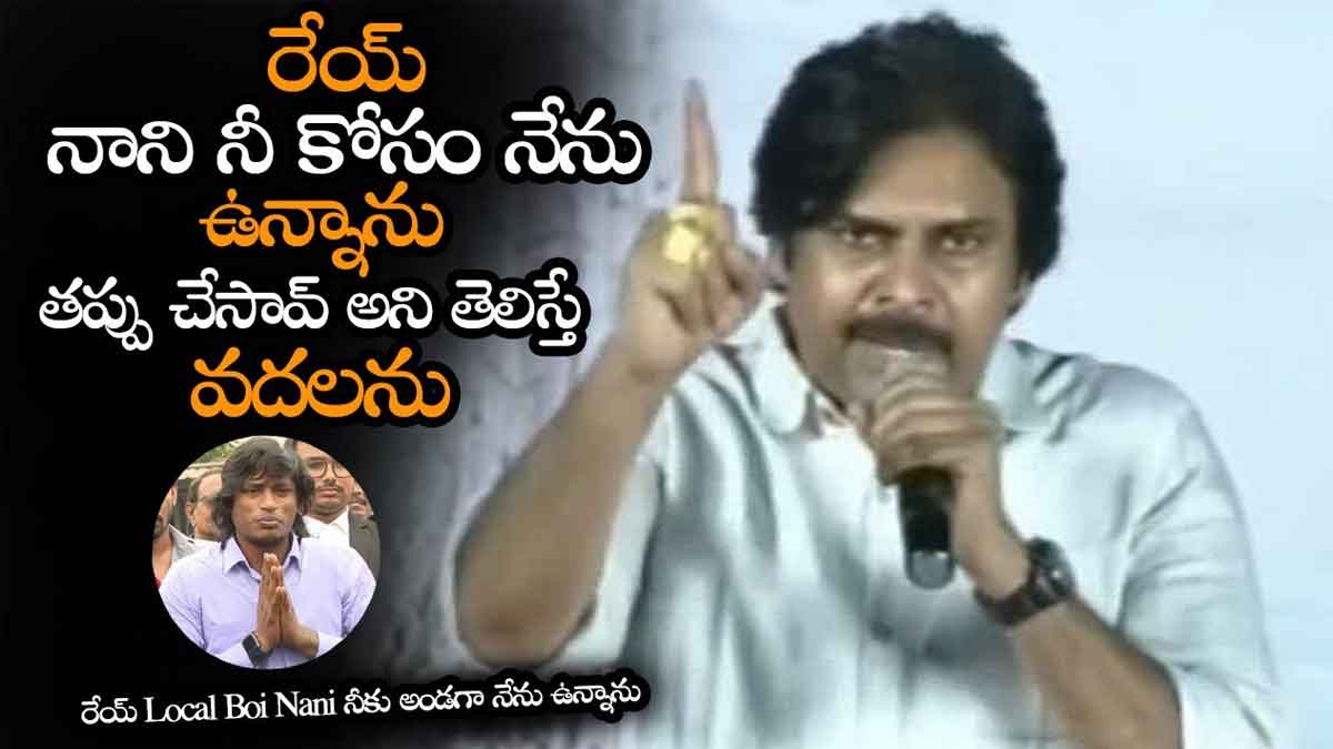 Pawan Kalyan supported youtuber nani for vizag incident