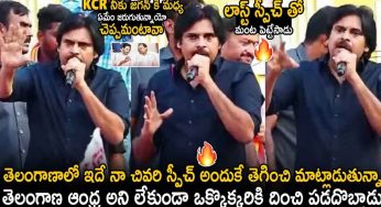 Pawan Kalyan : కూక‌ట్‌ప‌ల్లిలో ప‌వ‌న్ క‌ళ్యాణ్ ప‌వ‌ర్‌ఫుల్ స్పీచ్.. చివ‌రి రోజు దుమ్ములేపేశాడుగా..!