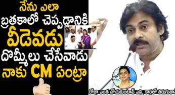 Pawan Kalyan : దోపిడీలు, దొమ్మీలు చేసేవాడా నాకు సీఎం.. ప‌వ‌న్ క‌ళ్యాణ్ ఫైర్..