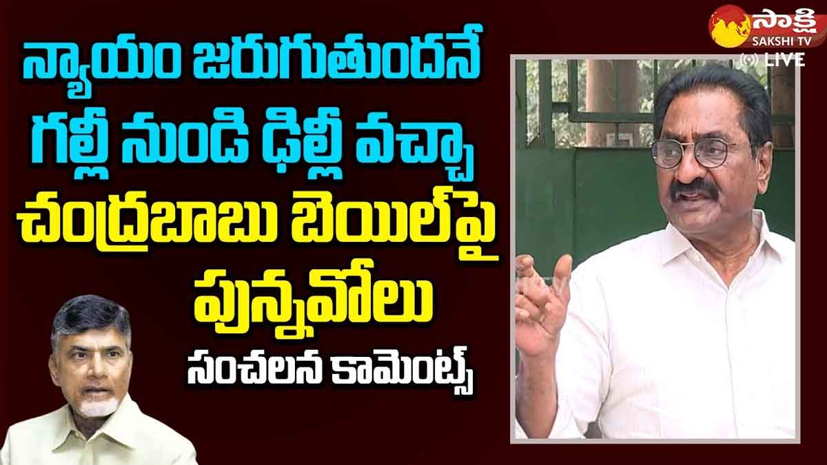 Ponnavolu sensational comments on chandra babu bail 