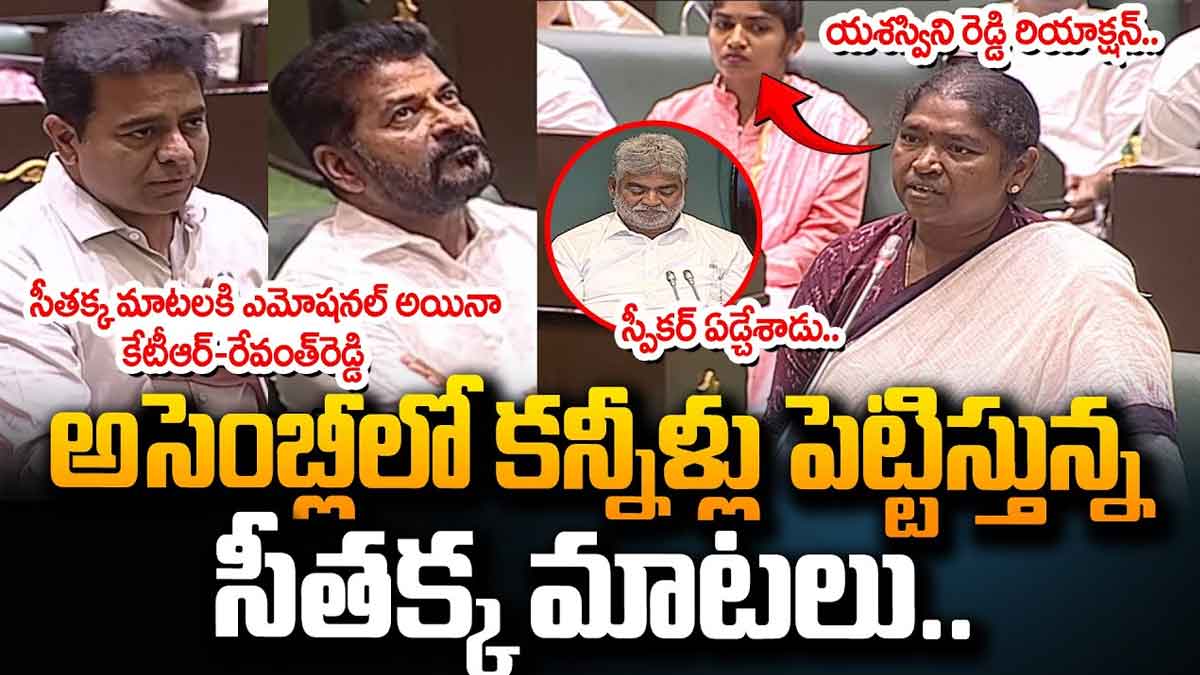 Minister Seethakka emotional words in telangana assembly