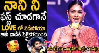 Mrunal Thakur : నాని గురించి మృణాల్ ఠాకూర్ అలా మాట్లాడిందేంటి..?